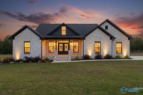 Photo of 44 Krimson Circle, Albertville, AL 35951 (MLS # 21902185)