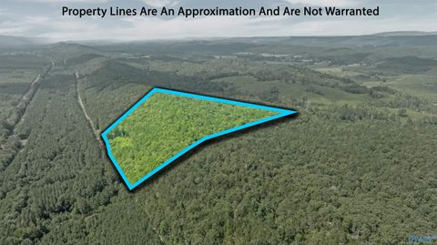 Vacant Land For Sale - 10 County Road 759<br/> Valley Head, AL 35989