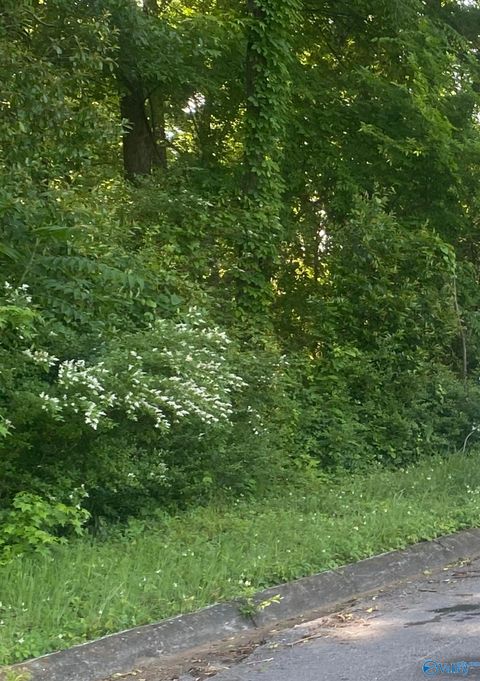 Vacant Land For Sale - LOT 10-11 Blair Street<br/> Florence, AL 35630