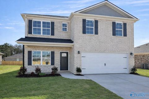 Homes For Sale - 123 Domingues Avenue<br/> Meridianville, AL 35759