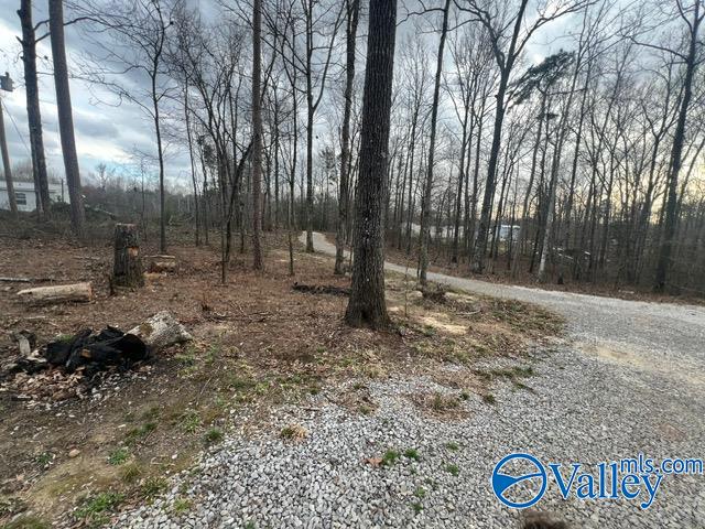 190 County Road 279, Moulton, Alabama image 29