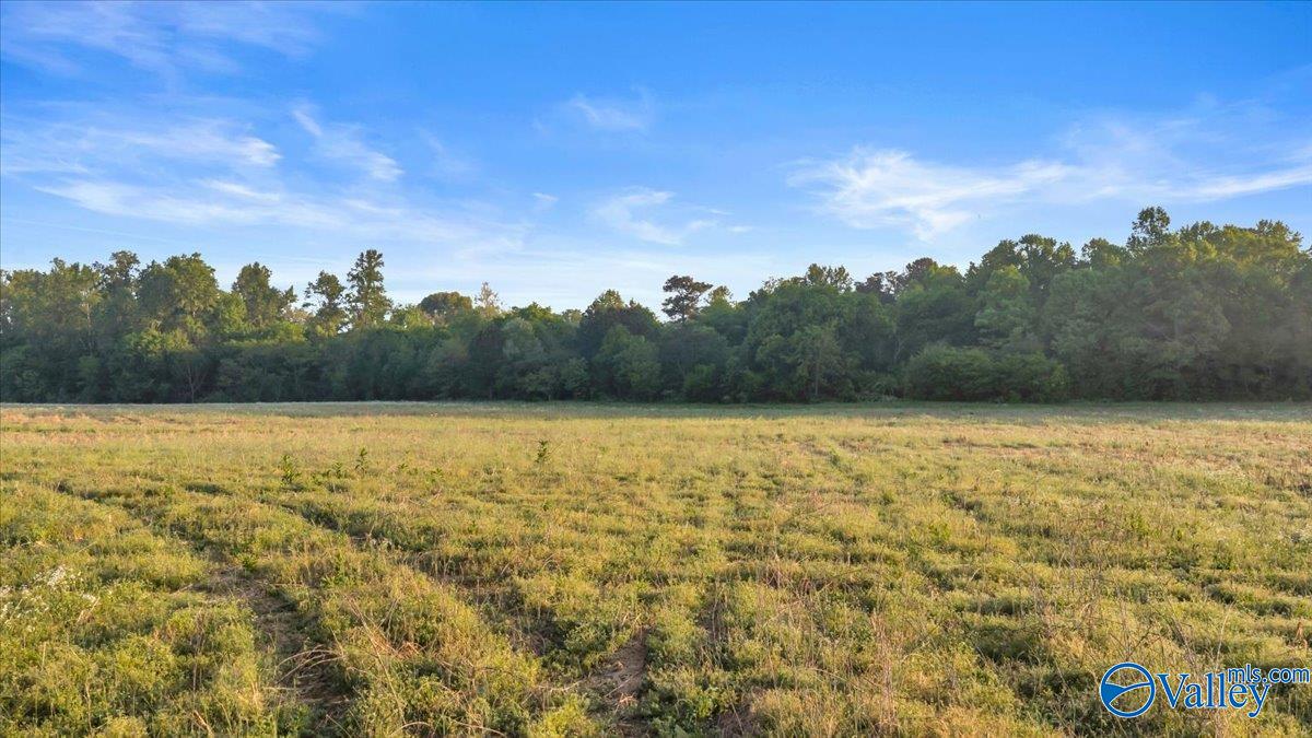 20+/- Alabama Highway 71