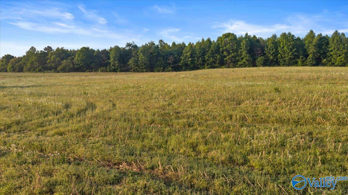 20+/- Alabama Highway 71