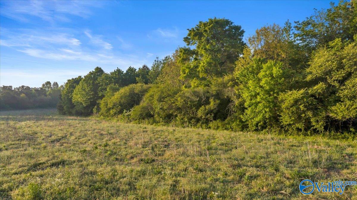 20+/- Alabama Highway 71