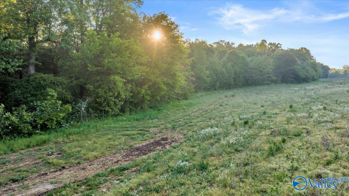 20+/- Alabama Highway 71