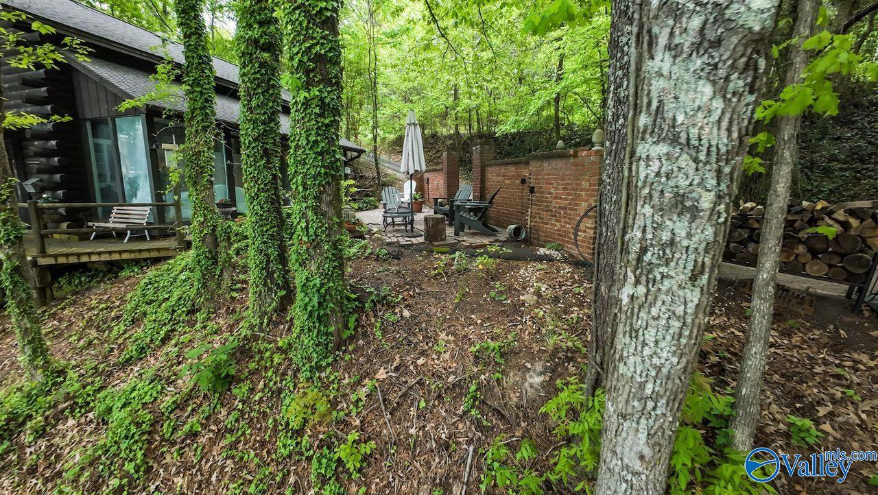 8171 County Road 48, Cedar Bluff, Alabama image 48