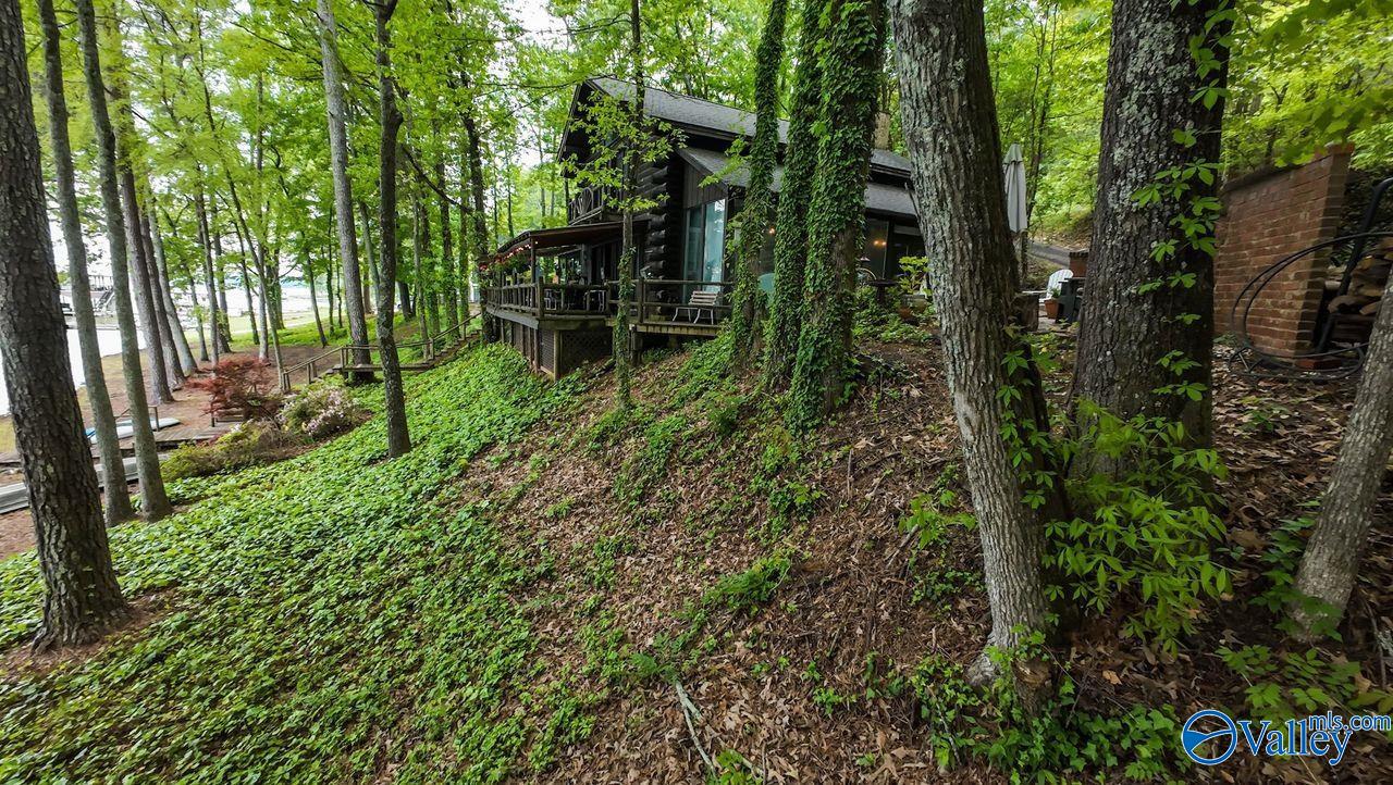 8171 County Road 48, Cedar Bluff, Alabama image 46