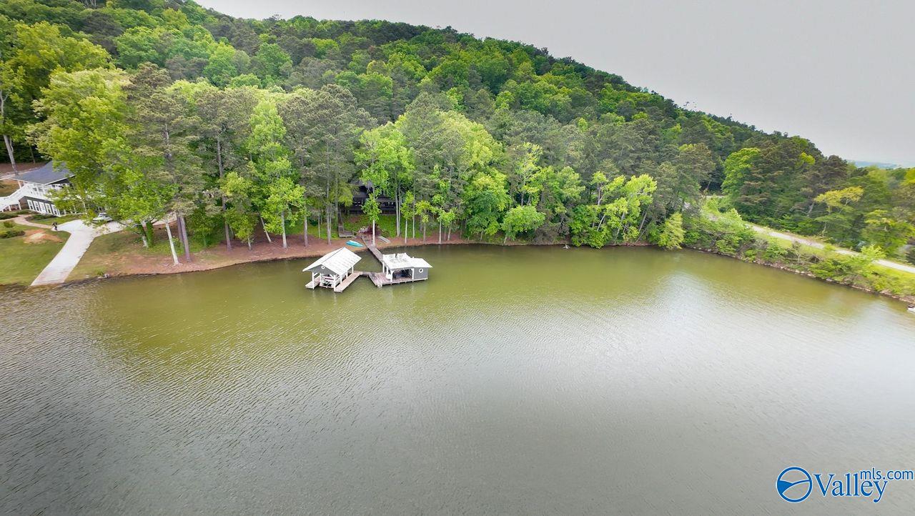 8171 County Road 48, Cedar Bluff, Alabama image 50