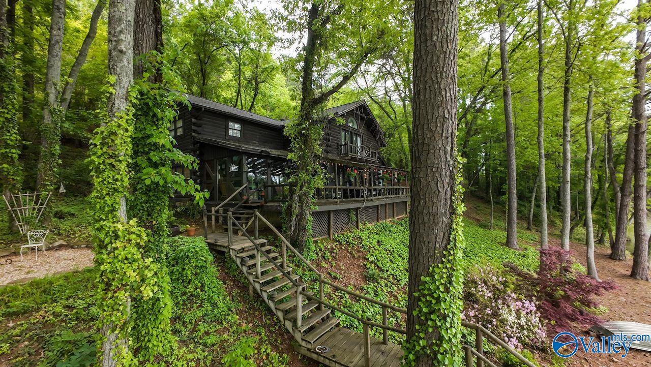 8171 County Road 48, Cedar Bluff, Alabama image 4