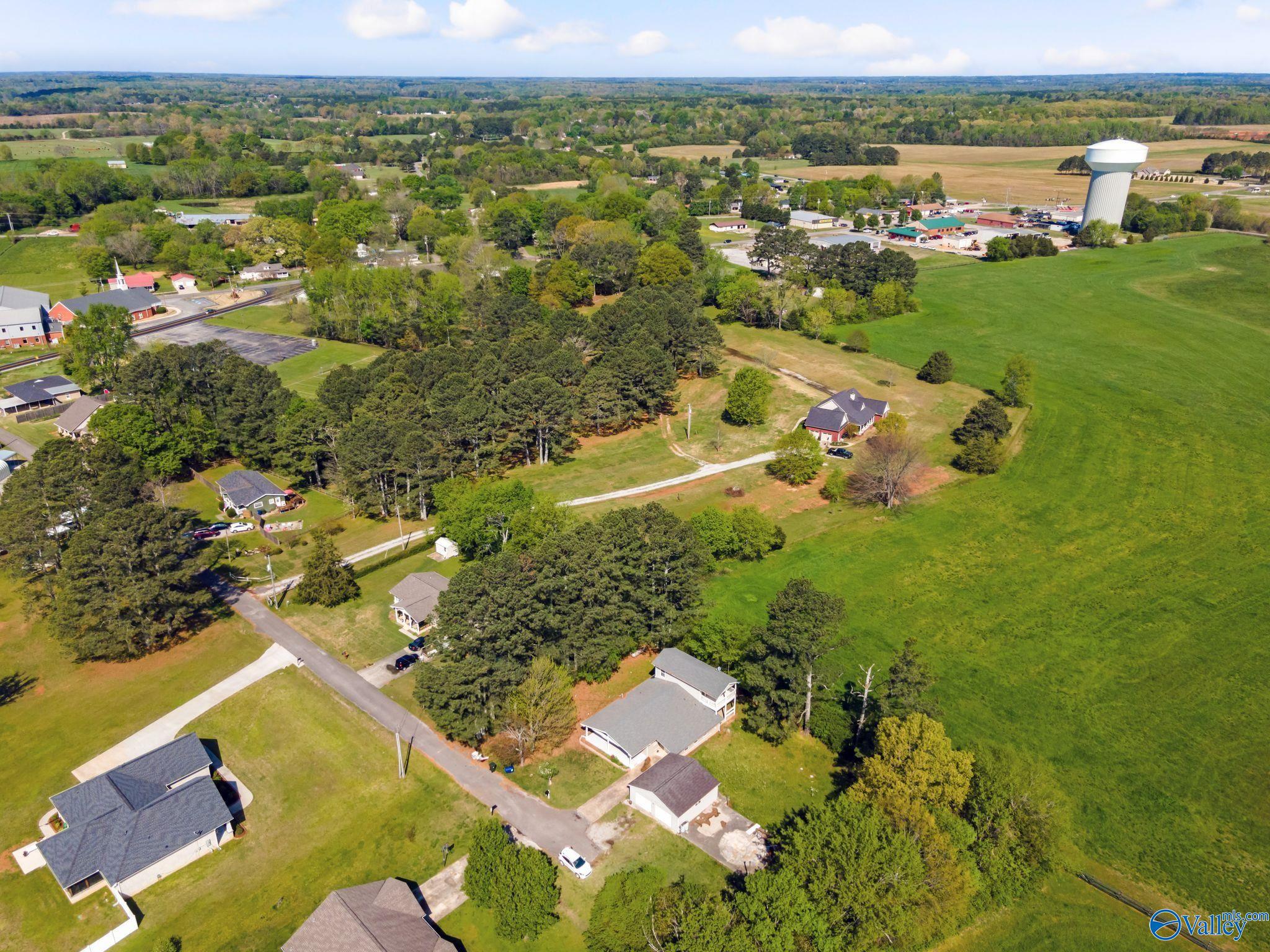 171 Cobb Place, Harvest, Alabama image 4