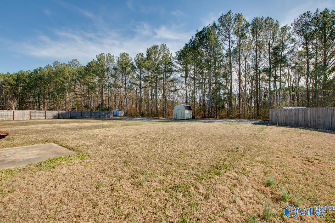 155 Darrow Creek Drive, Owens Cross Roads, Alabama image 28