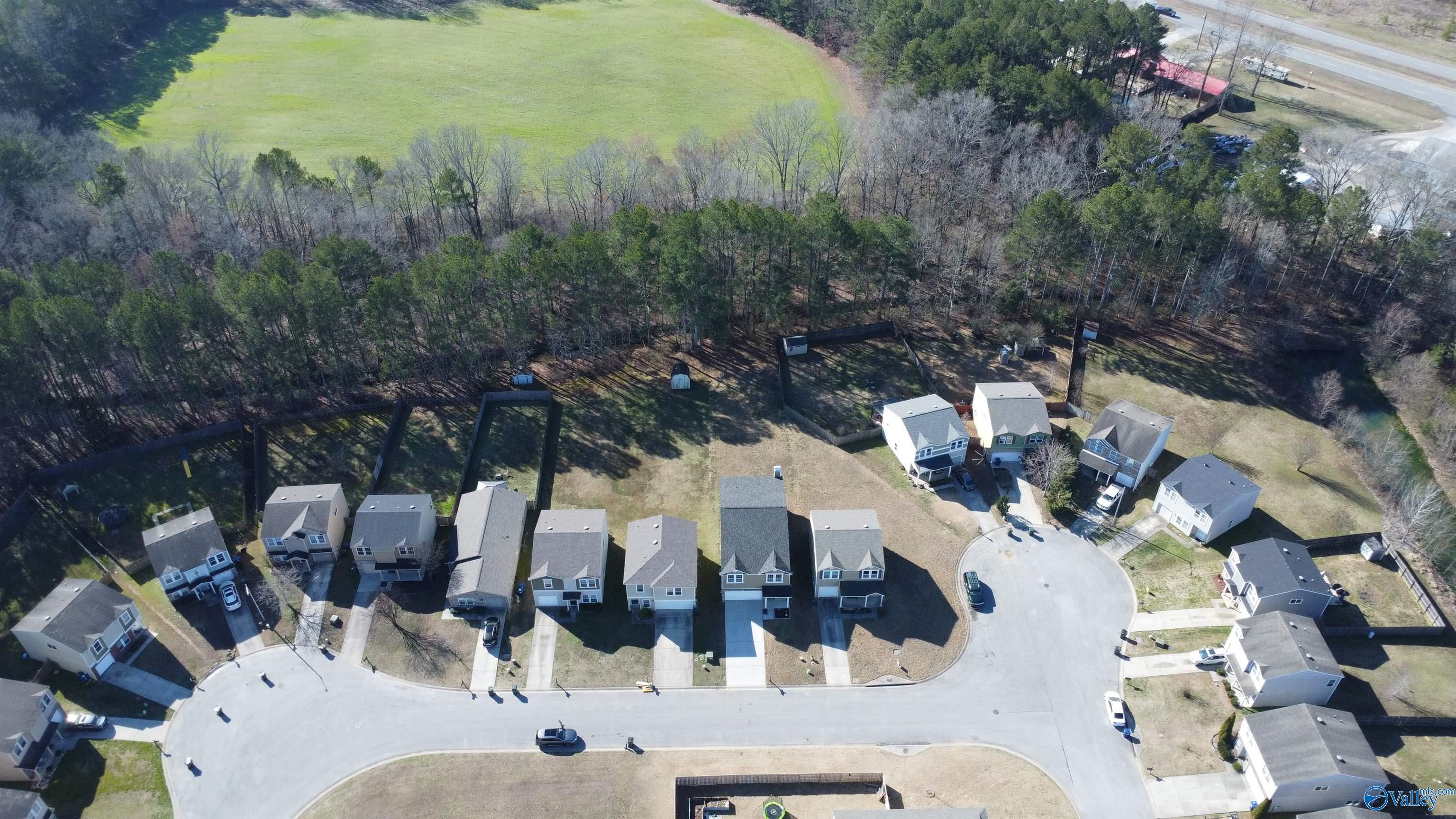 155 Darrow Creek Drive, Owens Cross Roads, Alabama image 30
