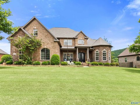 Photo of 10 Oakshire Place, Gurley, AL 35748 (MLS # 21919383)