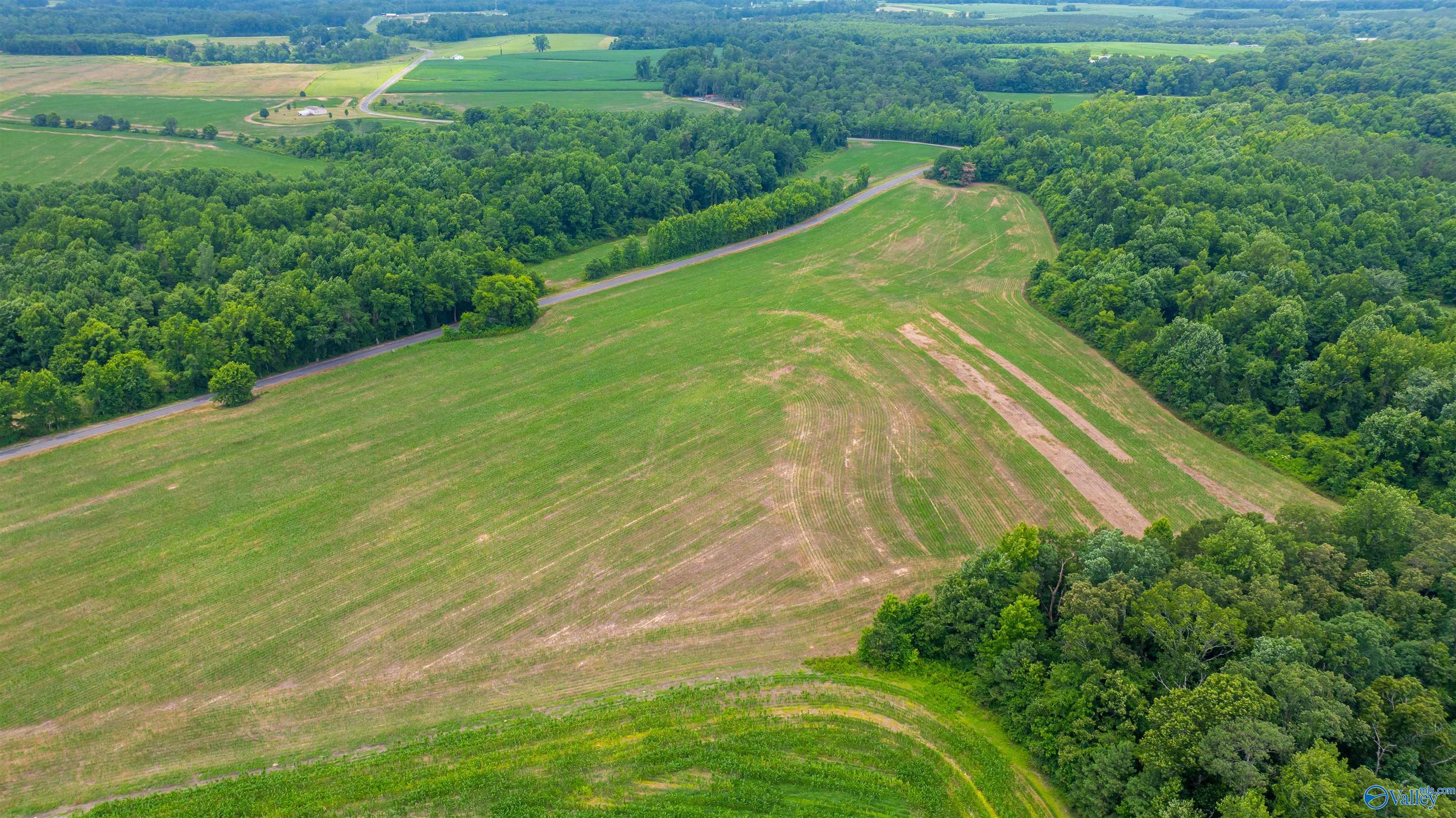 71 ACRES County Road 62, Section, Alabama image 4