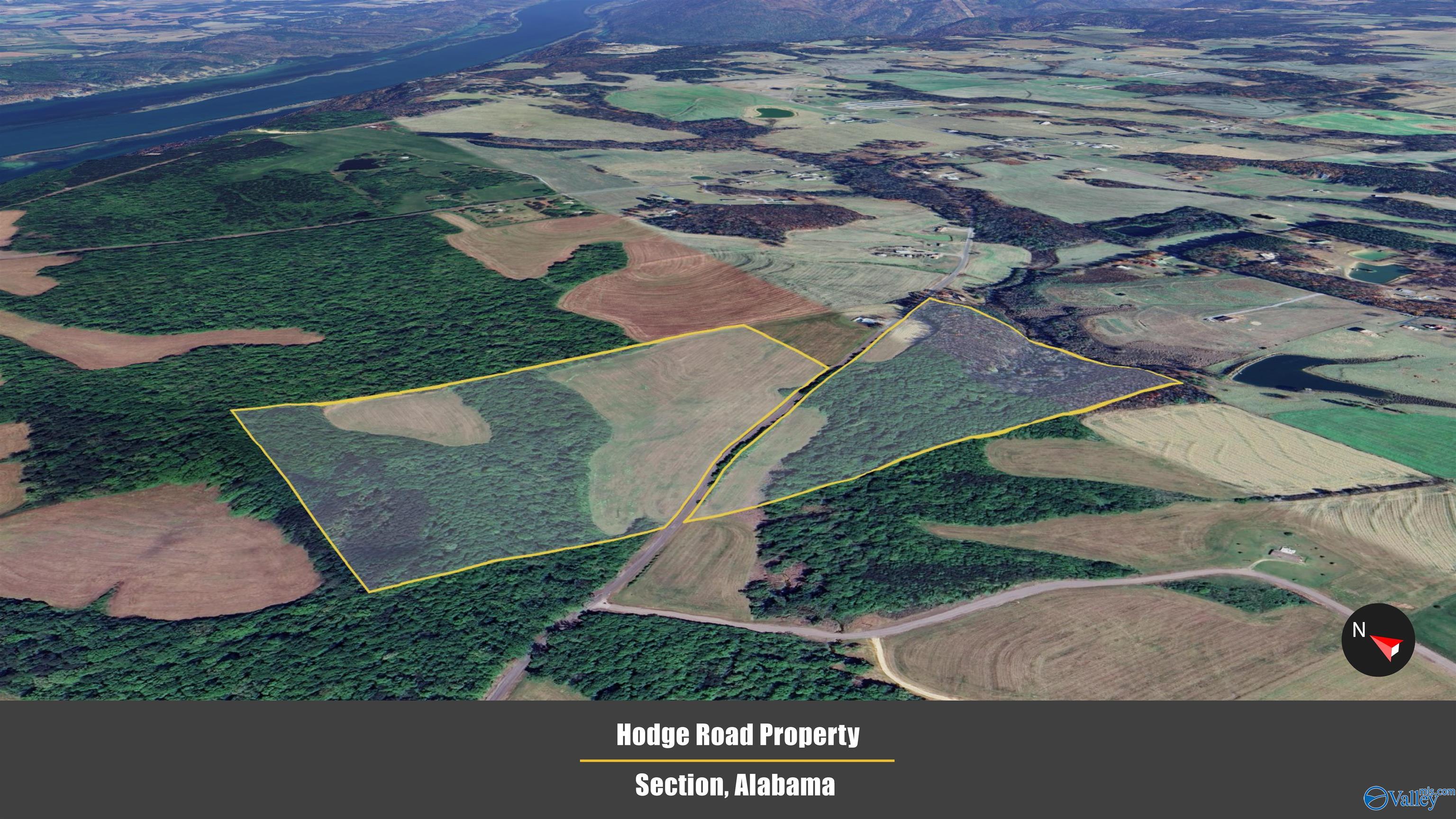 71 ACRES County Road 62, Section, Alabama image 5