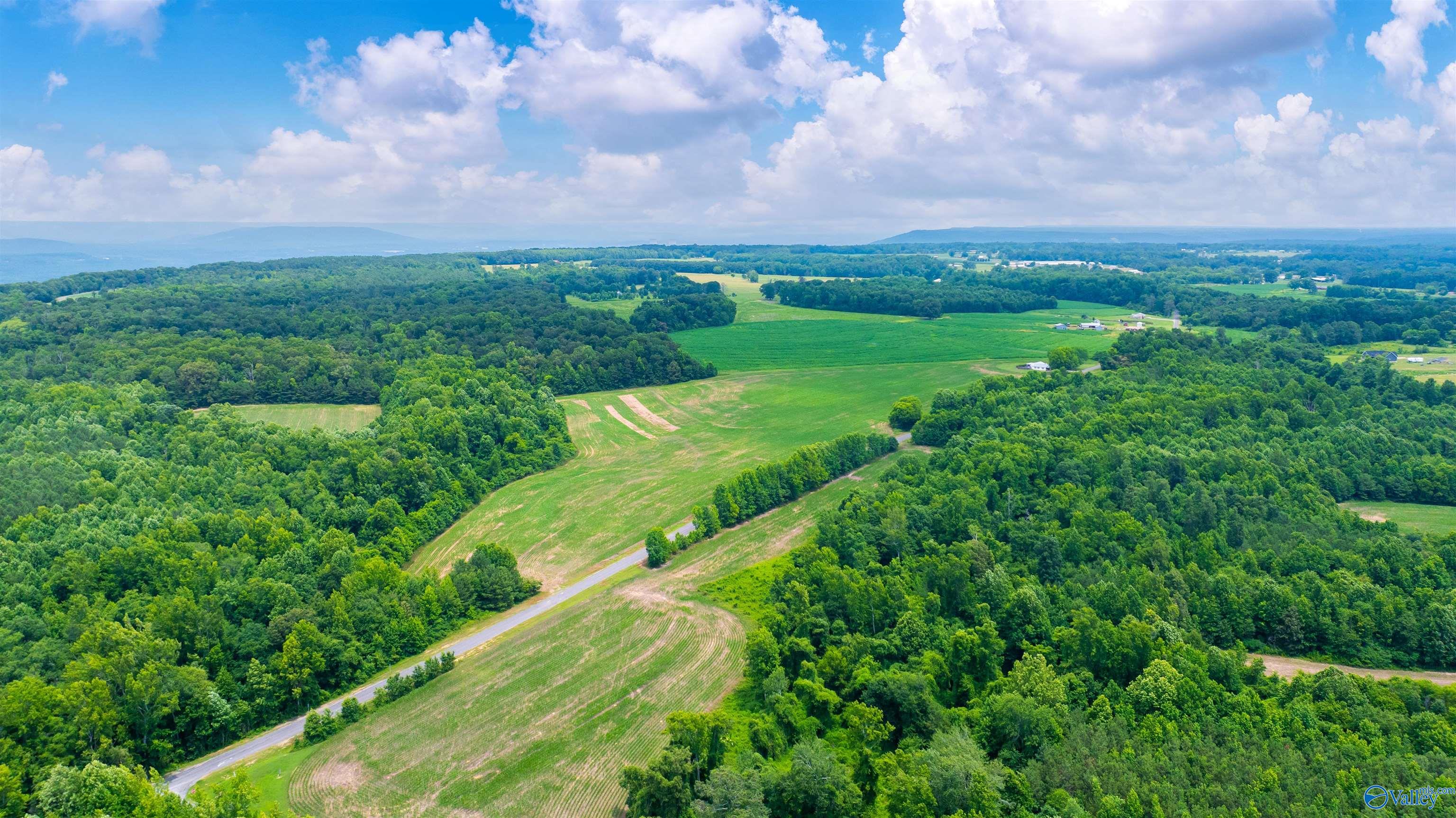 71 ACRES County Road 62, Section, Alabama image 12