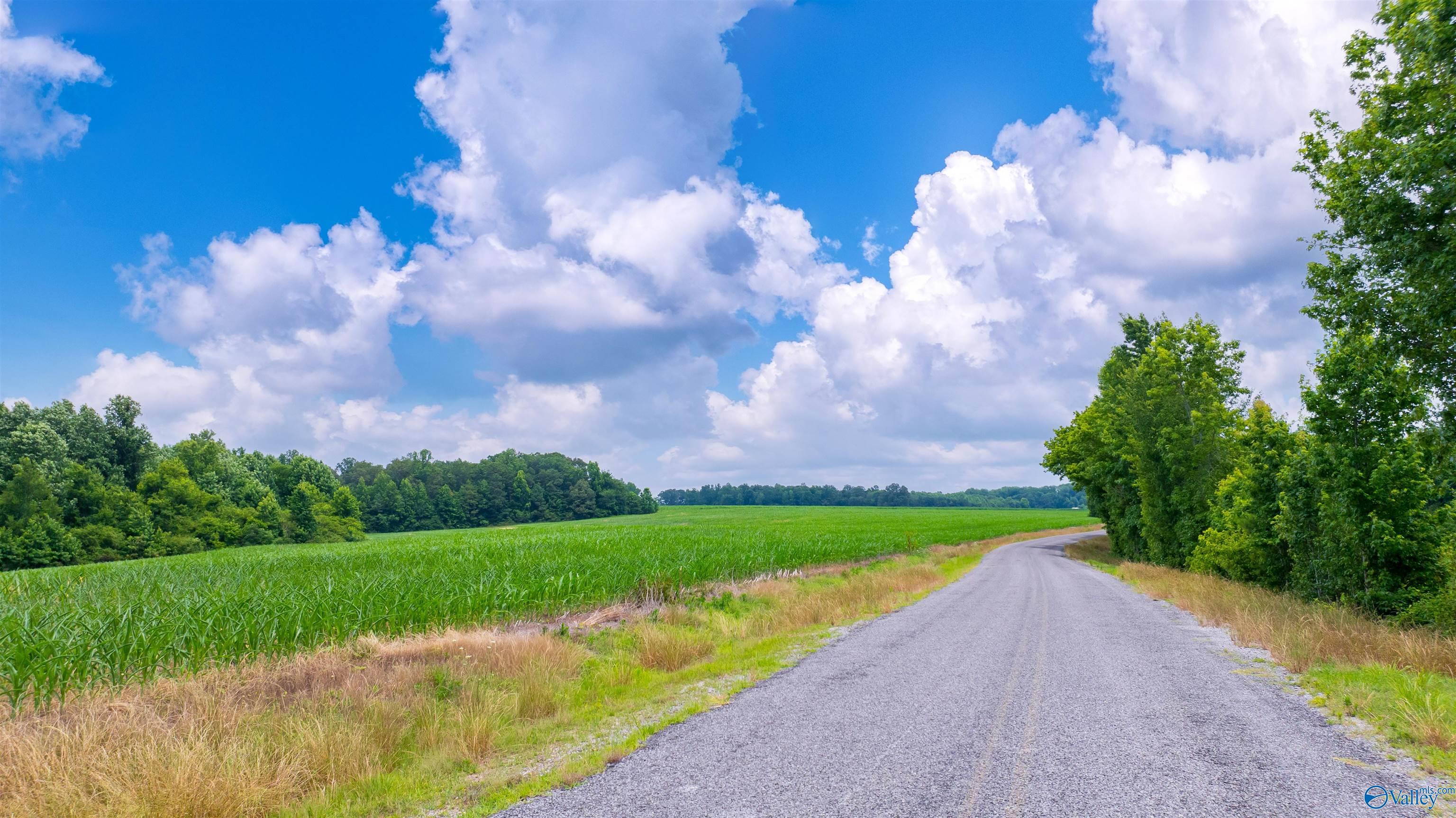 71 ACRES County Road 62, Section, Alabama image 1