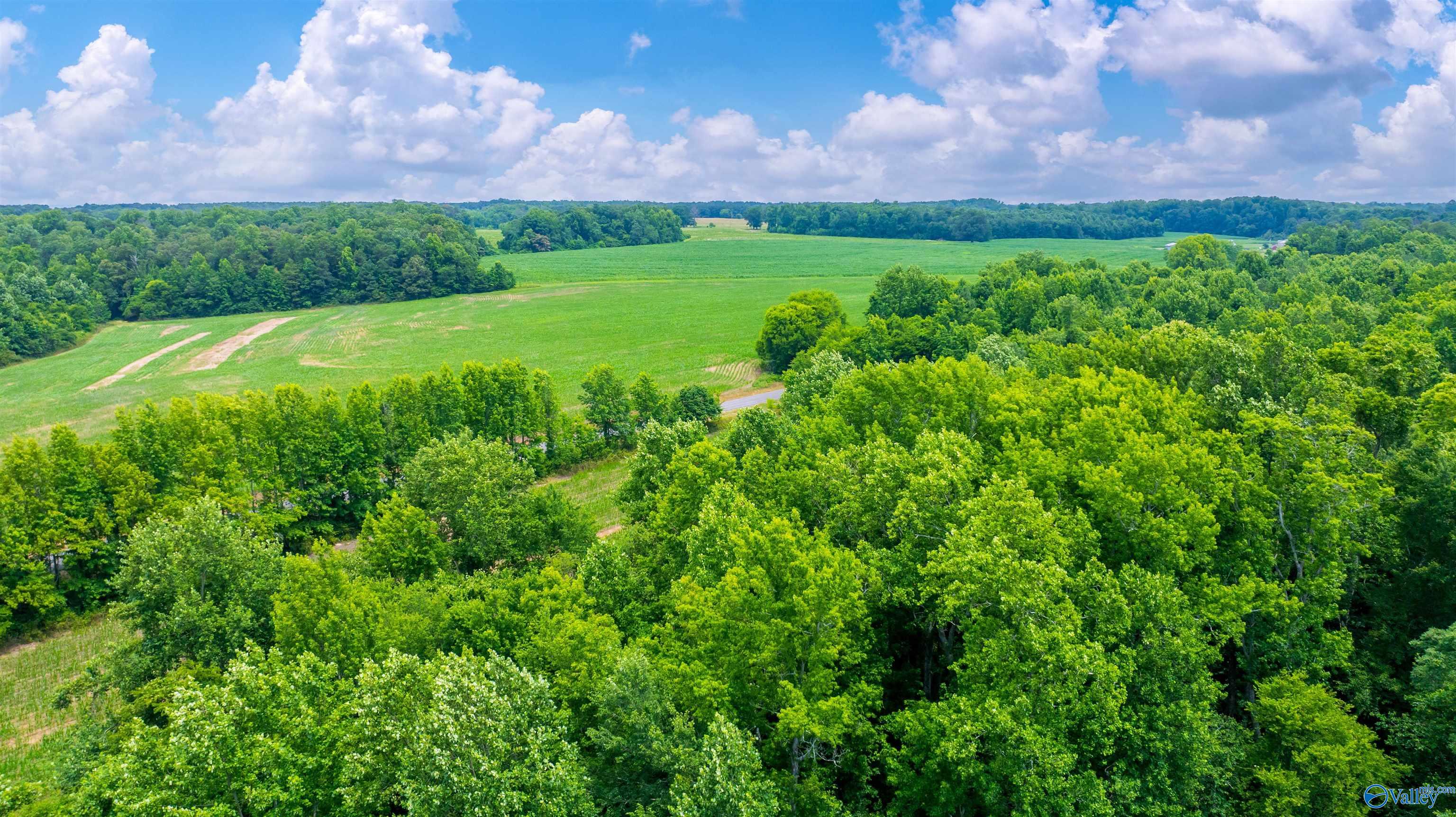 71 ACRES County Road 62, Section, Alabama image 13