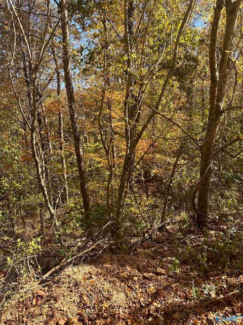 Vacant Land For Sale - 4619 Legacy Preserve Way<br/> Brownsboro, AL 35741