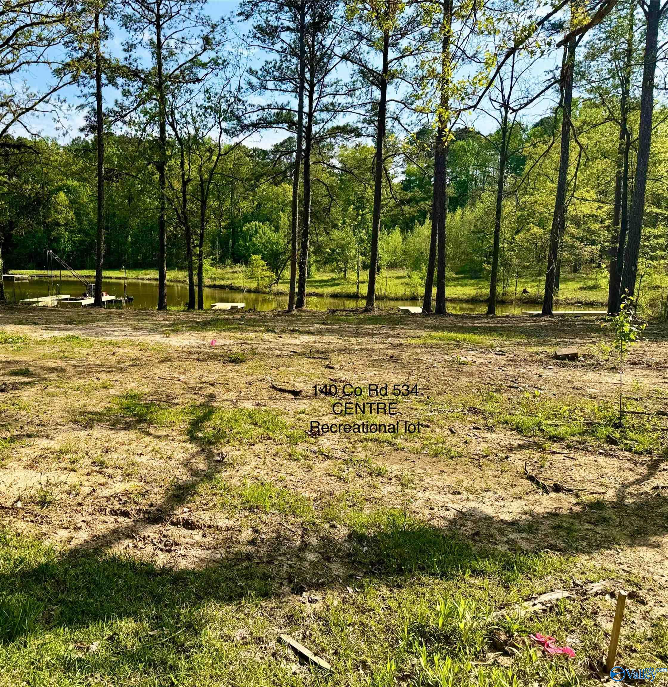 140 County Road 534, Centre, Alabama image 1