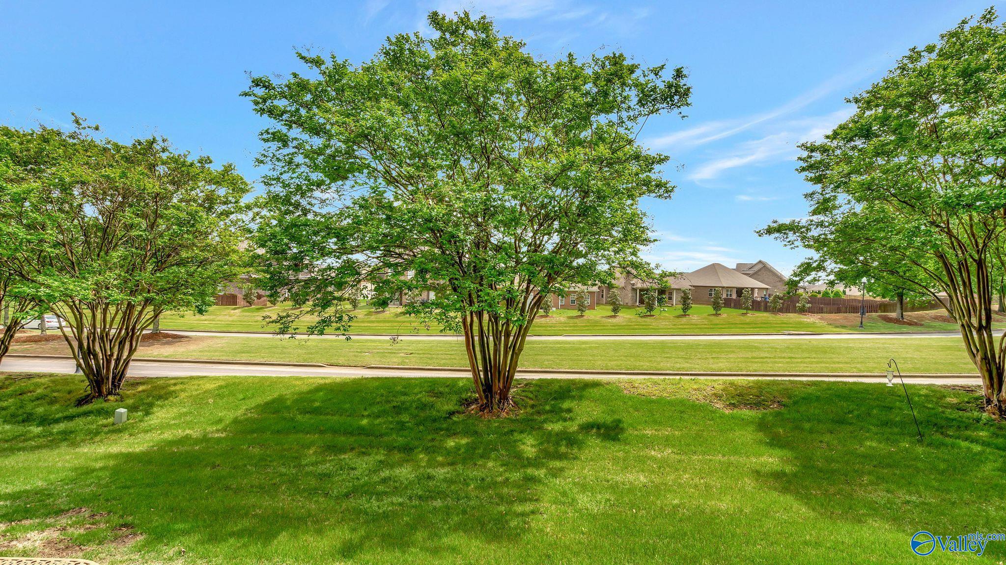 22180 Diamond Pointe Drive, Athens, Alabama image 37