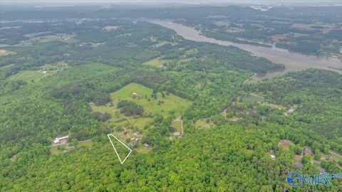 Vacant Land For Sale - 14.87 Fowlers Ferry Road<br/> Etowah County, Southside, AL 35907
