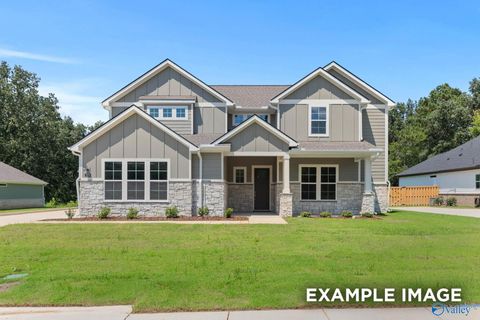 Photo of 7511 Speckle Belly Boulevard, Owens Cross Roads, AL 35763 (MLS # 21916923)