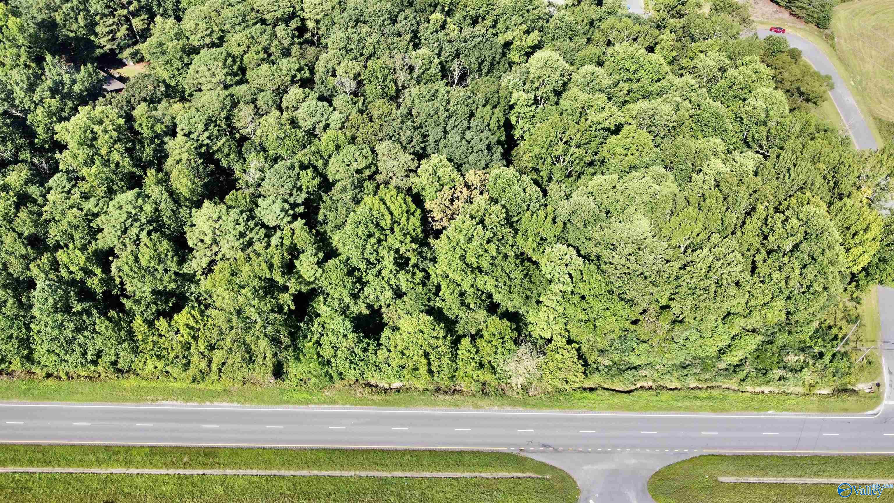 2.93 Acres Highway 231, Arab, Alabama image 9