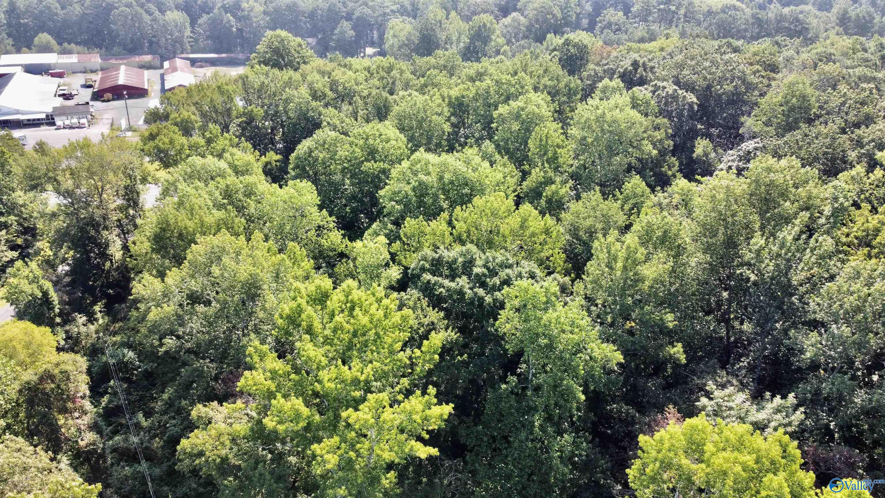 2.93 Acres Highway 231, Arab, Alabama image 16