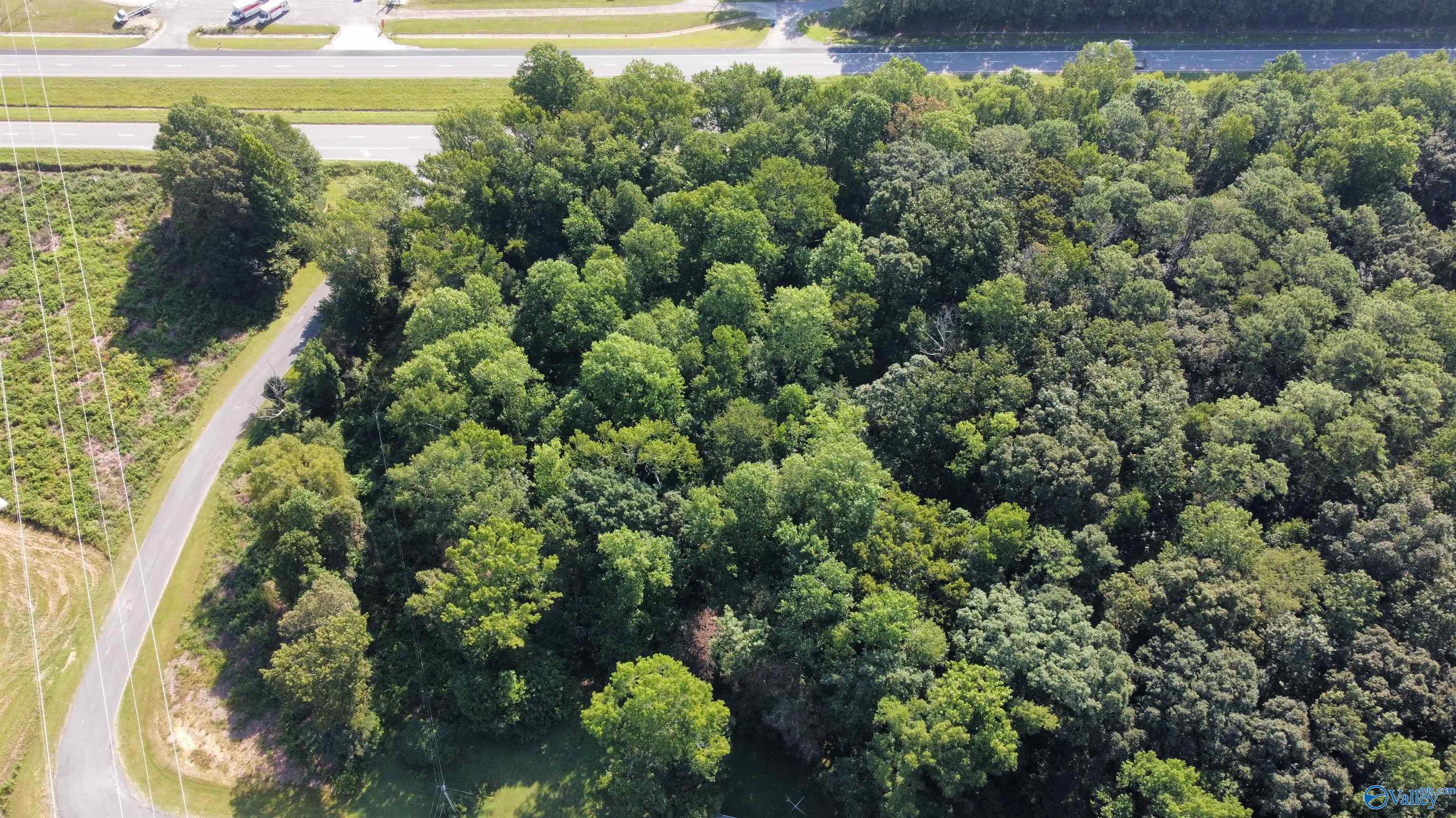 2.93 Acres Highway 231, Arab, Alabama image 10