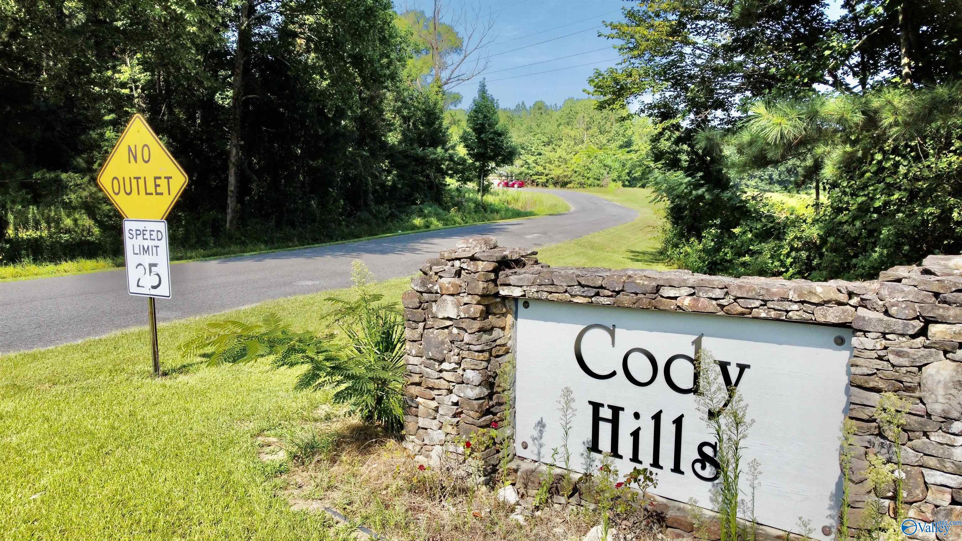 2.93 Acres Highway 231, Arab, Alabama image 4