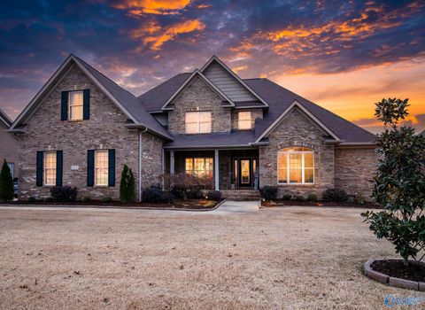 Photo of 224 Watterson Way, Madison, AL 35756 (MLS # 21905326)