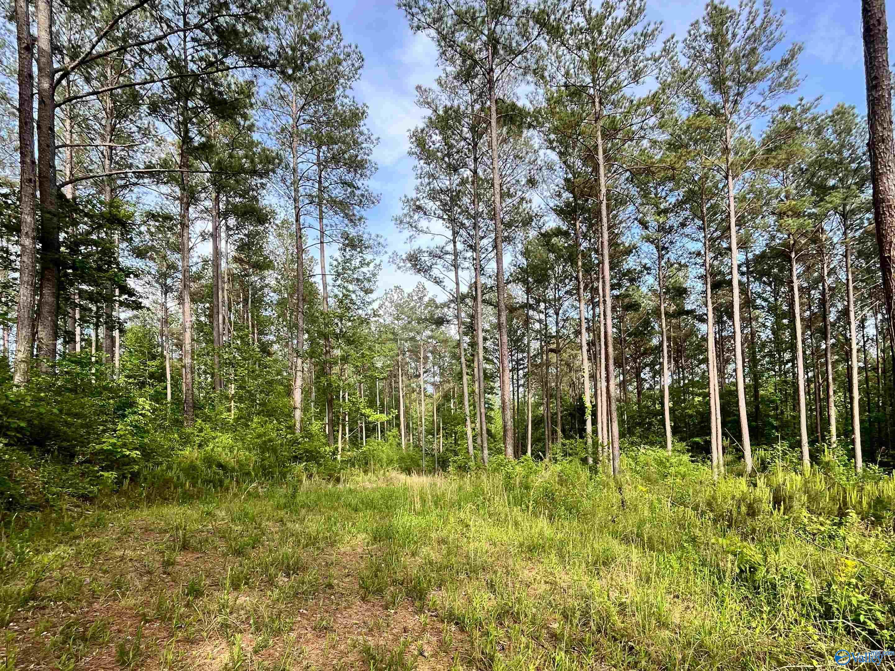 2040 County Road 1082