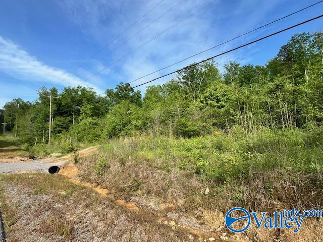 2040 County Road 1082