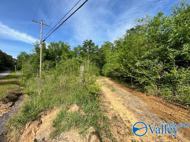 2040 County Road 1082, Vinemont, Alabama image 7