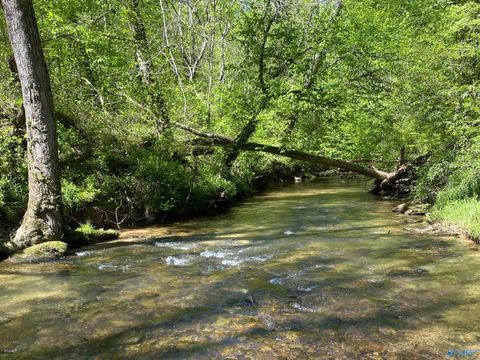 2040 County Road 1082 Vinemont AL 35179