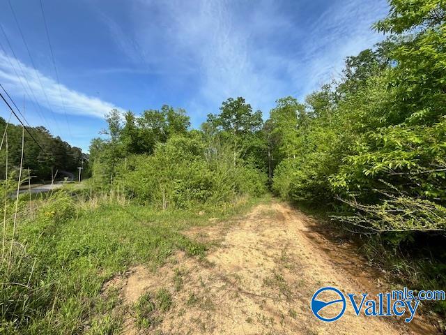 2040 County Road 1082, Vinemont, Alabama image 6