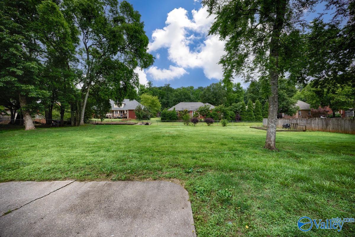105 Chinook Trail, Madison, Alabama image 29