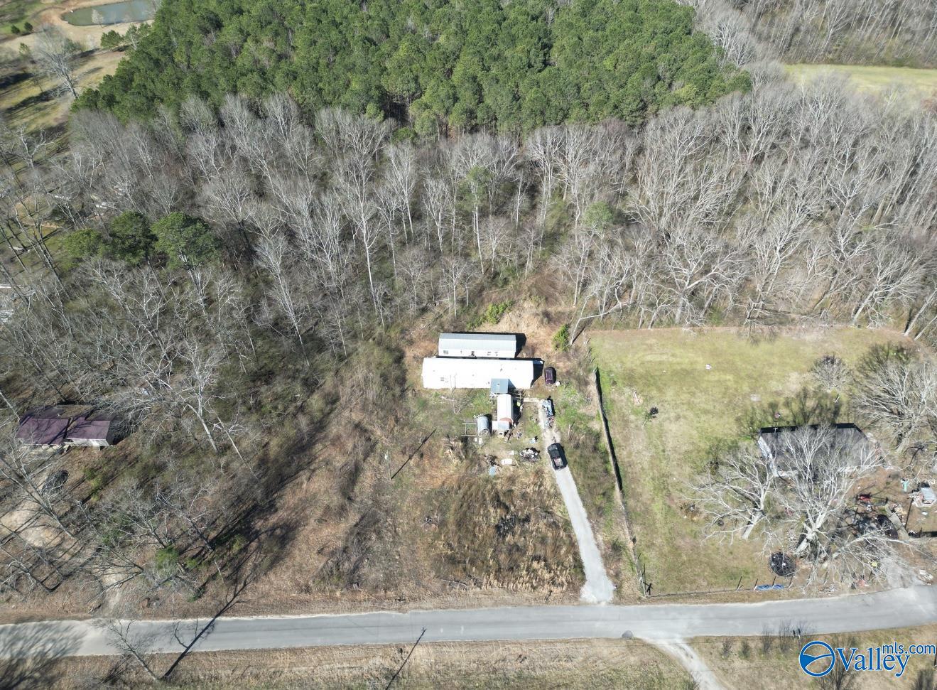 330 Blankenship Road, Danville, Alabama image 3