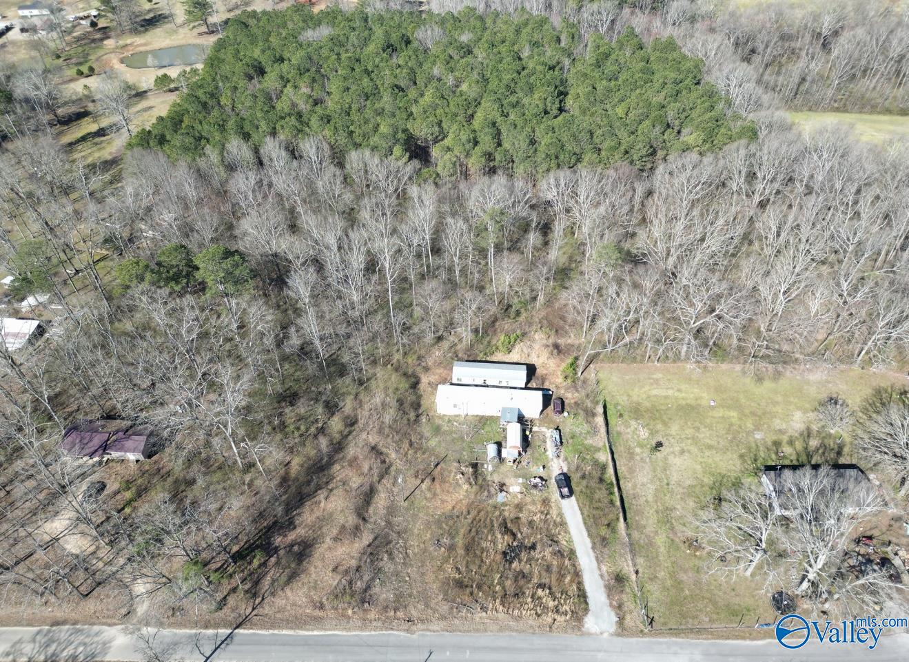 330 Blankenship Road, Danville, Alabama image 2