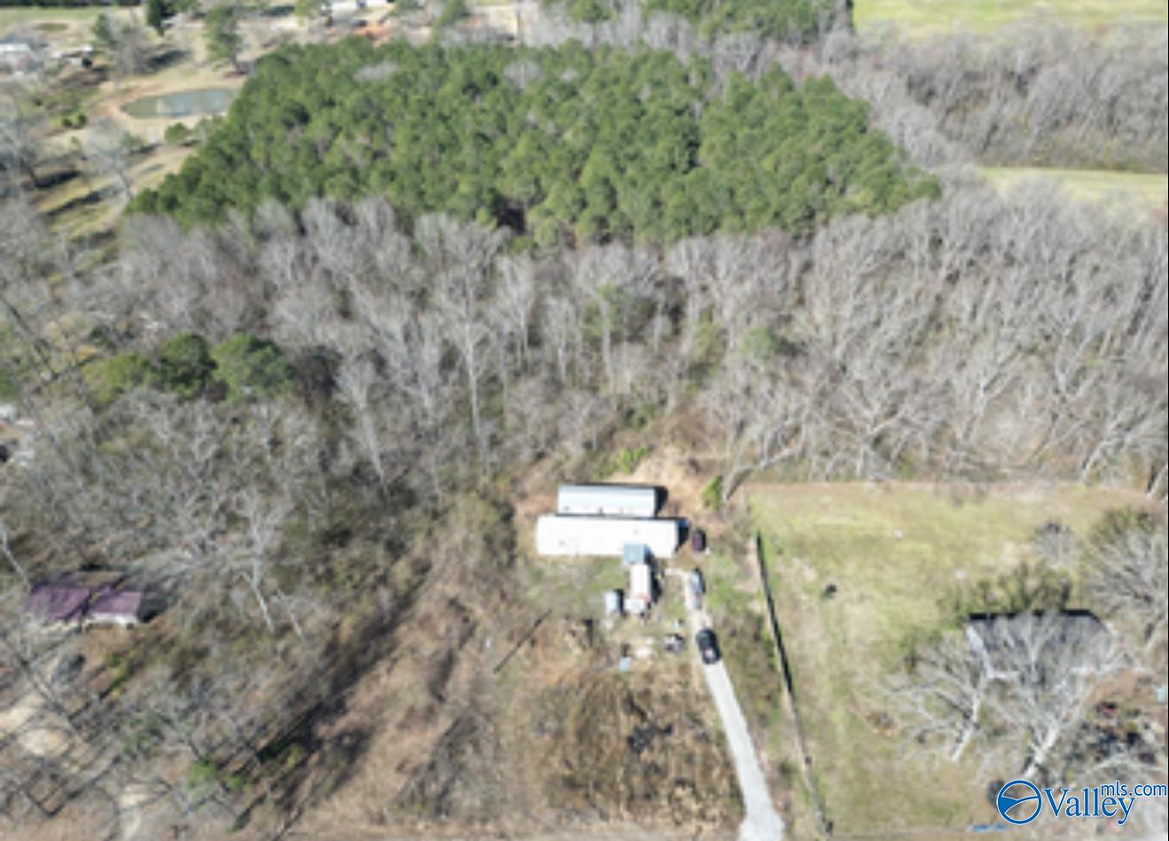 330 Blankenship Road, Danville, Alabama image 4