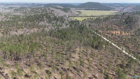 Vacant Land For Sale - 12 County Road 175<br/> Cherokee County, Piedmont, AL 36272