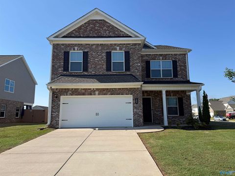Homes For Rent - 109 Mill View Drive<br/> New Market, AL 35761