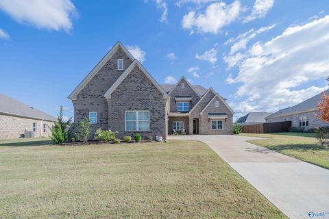 Homes For Sale - 109 Ginamey Circle<br/> Meridianville, AL 35759