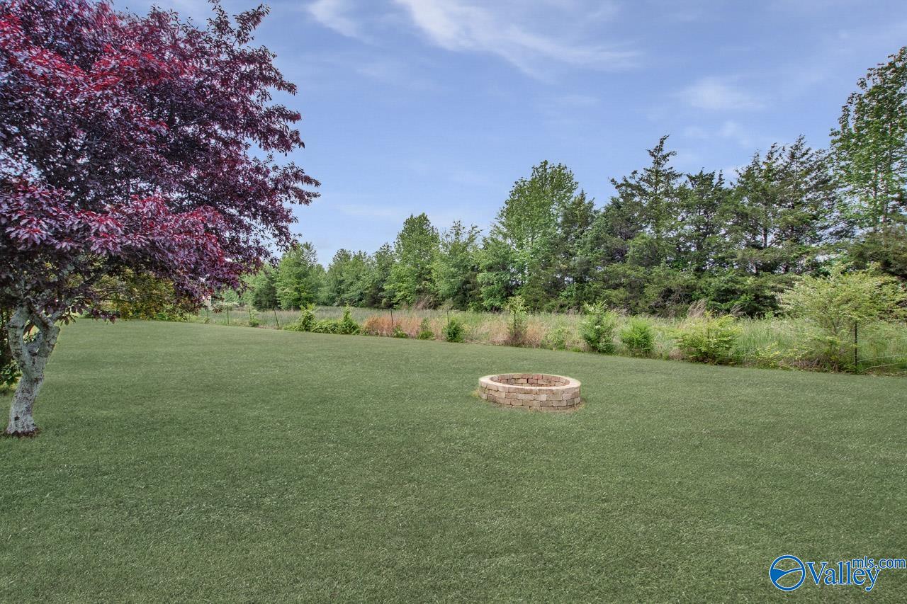 21867 Alabama Highway 251, Athens, Alabama image 33