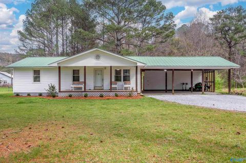 Photo of 1909 Old Highway 431, Glencoe, AL 35905 (MLS # 21912614)