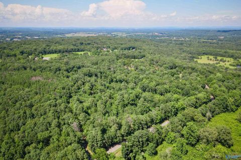 Vacant Land For Sale - 5 ACRES PART A Willow Bend Road<br/> Decatur, AL 35603