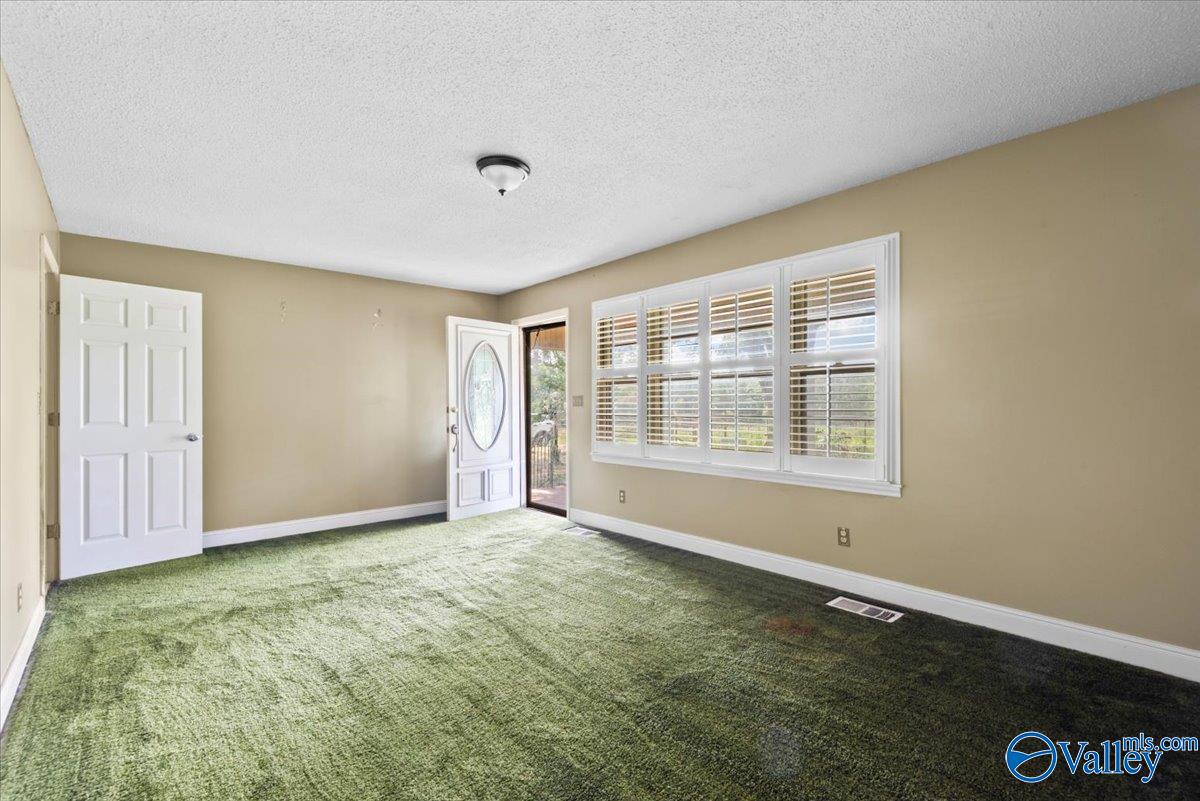 2515 Iron Man Road, Danville, Alabama image 7