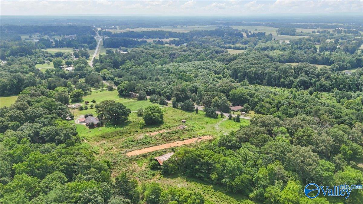 2515 Iron Man Road, Danville, Alabama image 44