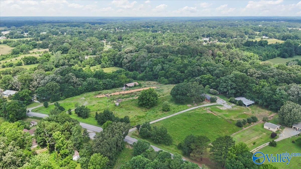 2515 Iron Man Road, Danville, Alabama image 42